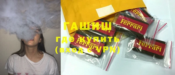 гашик Алексин