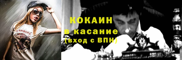 гашик Алексин