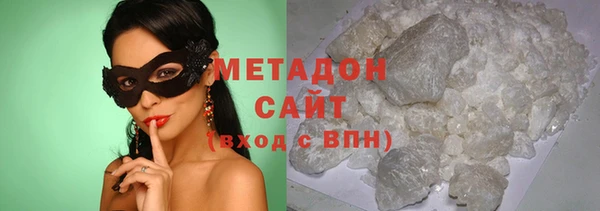 гашик Алексин