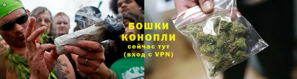 трава Алзамай