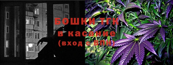 гашик Алексин