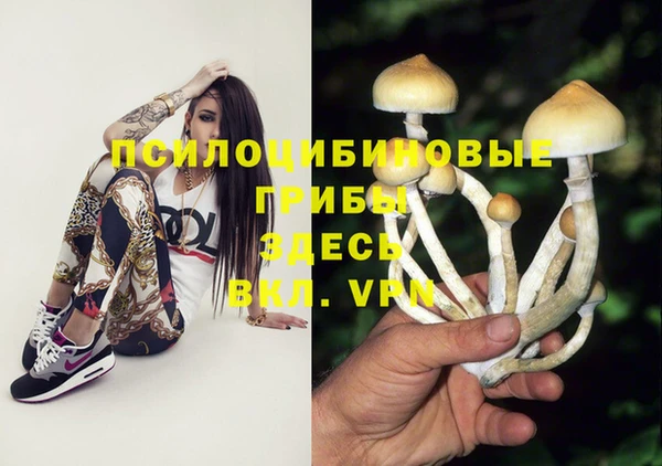 тгк Алексеевка