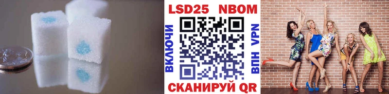 darknet наркотические препараты  Новая Ляля  Лсд 25 экстази ecstasy 