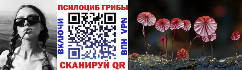 omg tor  Новая Ляля  Псилоцибиновые грибы Cubensis 